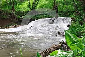 A small waterfall in the forest. Bright juicy greens and splashes of water. A quiet and peaceful place for family holidays