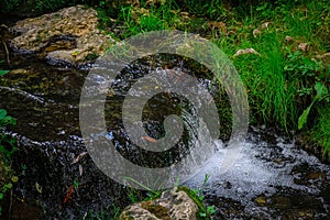 A small waterfall in the forest. Bright juicy greens and splashes of water. A quiet and peaceful place for family holidays