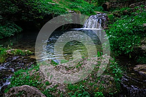 A small waterfall in the forest. Bright juicy greens and splashes of water. A quiet and peaceful place for family holidays