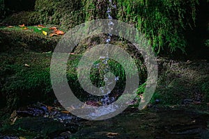 A small waterfall in the forest. Bright juicy greens and splashes of water. A quiet and peaceful place for family holidays