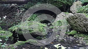 A small waterfall in the forest. Bright juicy greens and splashes of water. A quiet and peaceful place for family holidays