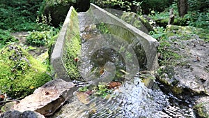 A small waterfall in the forest. Bright juicy greens and splashes of water. A quiet and peaceful place for family holidays