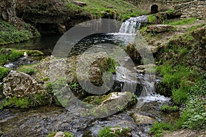 A small waterfall in the forest. Bright juicy greens and splashes of water. A quiet and peaceful place for family holidays