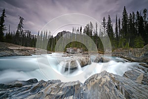 Small waterfall in a forest, Mount Revelstoke National Park bij Revelstoke