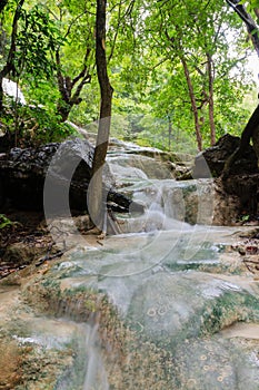 Small waterfall Forest