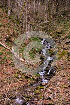 Small waterfall in the forest,natural spring water