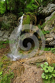 Small waterfall in the forest in Wutach Gorge, Germany