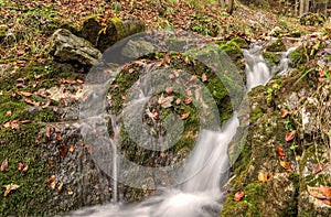 Small waterfall in the forest