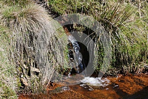 Small waterfall on hillside stream