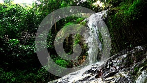 Small waterfall and its falling stream of water in tropical forest are filmed from below