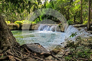 Small waterfall in the jungle on the rocks