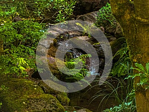 Small waterfall located at the Japanese Gardens in Oregon.