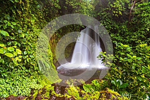 Small waterfall in a lush green jungle in  Alajuela, Costa Rica