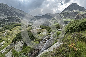 Small waterfall among luxurious alpine vegetation