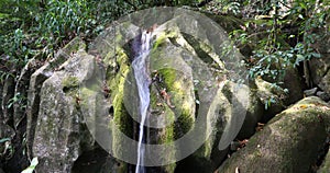 Small waterfall in Masoala national park, Madagascar