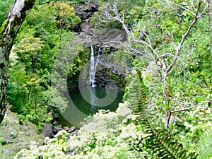 Small waterfall in Maui, Hawaii