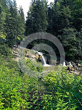 A small waterfall in the middle of a forest in the mountains.