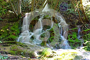 A small waterfall in the middle of a green dense forest