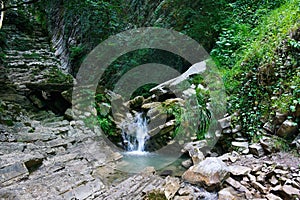 A small waterfall in mountain forest