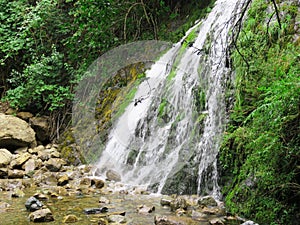 Small waterfall in the mountain forest