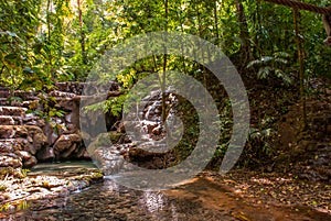 Small waterfall. Mountain stream in green forest at spring time.Palenque, Chiapas, Mexico.