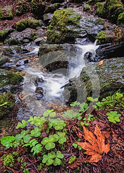 Small Waterfall in the Mountains of Northern California