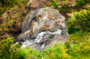 Small waterfall in native bush