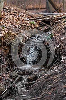 A small waterfall in a natural creek area , running rapid with spring snow melt