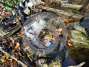 A small waterfall. Nature in the park. Water. A small threshold. A stream runs among foliage, stones, sticks. Water in the park. U