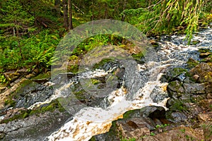 A small waterfall in the northern forest of Karelia