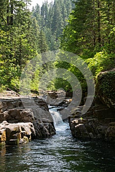 Small waterfall in Oregon wlderness with rocks and tall trees photo