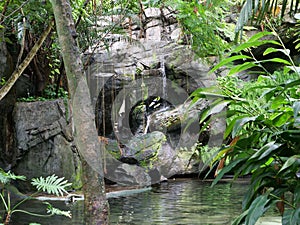 A small waterfall over large rocks