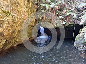 Small waterfall over rocks on Greaves Creek on the Grand Canyon Walking Track