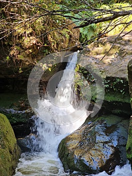 Small waterfall over rocks on Greaves Creek on the Grand Canyon Walking Track