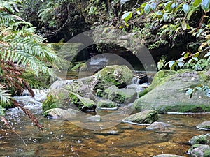 Small waterfall over rocks on Greaves Creek on the Grand Canyon Walking Track