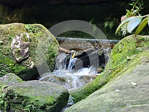 Small waterfall over rocks on Greaves Creek on the Grand Canyon Walking Track