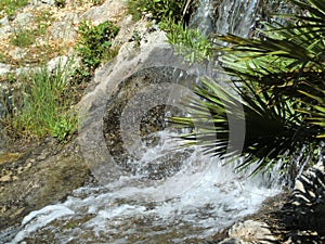 Small waterfall over rocks and plants