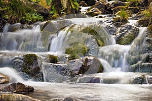 Small Waterfall in park with beautifull smooth water. Little waterfall in mountain forest with silky foaming water.