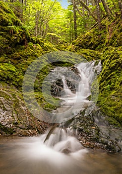 Small waterfall in the park (Slow shutter speed)