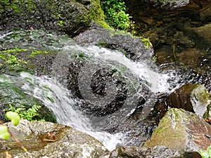 Small waterfall of the Parque da Grena natural park on the island of Sao Miguel in Azores