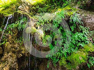 Small waterfall photographed from the bottom