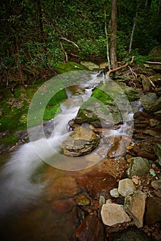 Small waterfall in Pisgah National Forest, NC