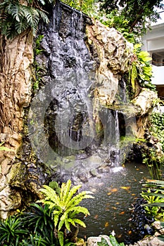 Small waterfall and pond with a koi carps fish