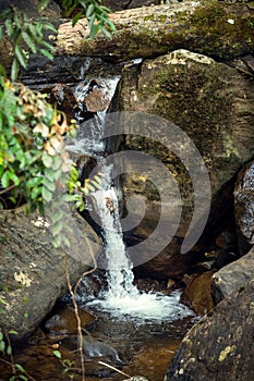 A small waterfall in the rain forest