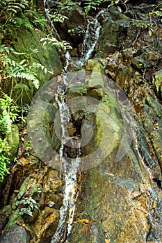 A small waterfall in the rain forest