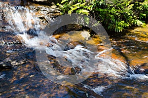 Small waterfall in the rainforest at Wentworth Falls, New South Wales, Australia.