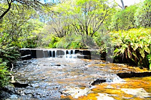 Small waterfall in the rainforest at Wentworth Falls, New South Wales, Australia.