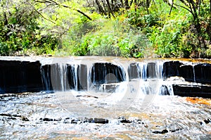 Small waterfall in the rainforest at Wentworth Falls, New South Wales, Australia.