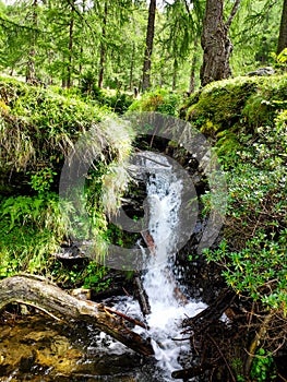 Small waterfall in the Ri di MognÃÂ²la river, Switzerland