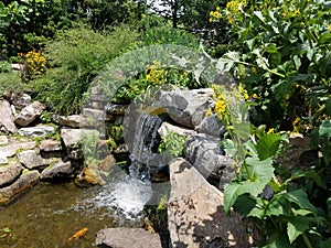 Small waterfall and rocks and large fish